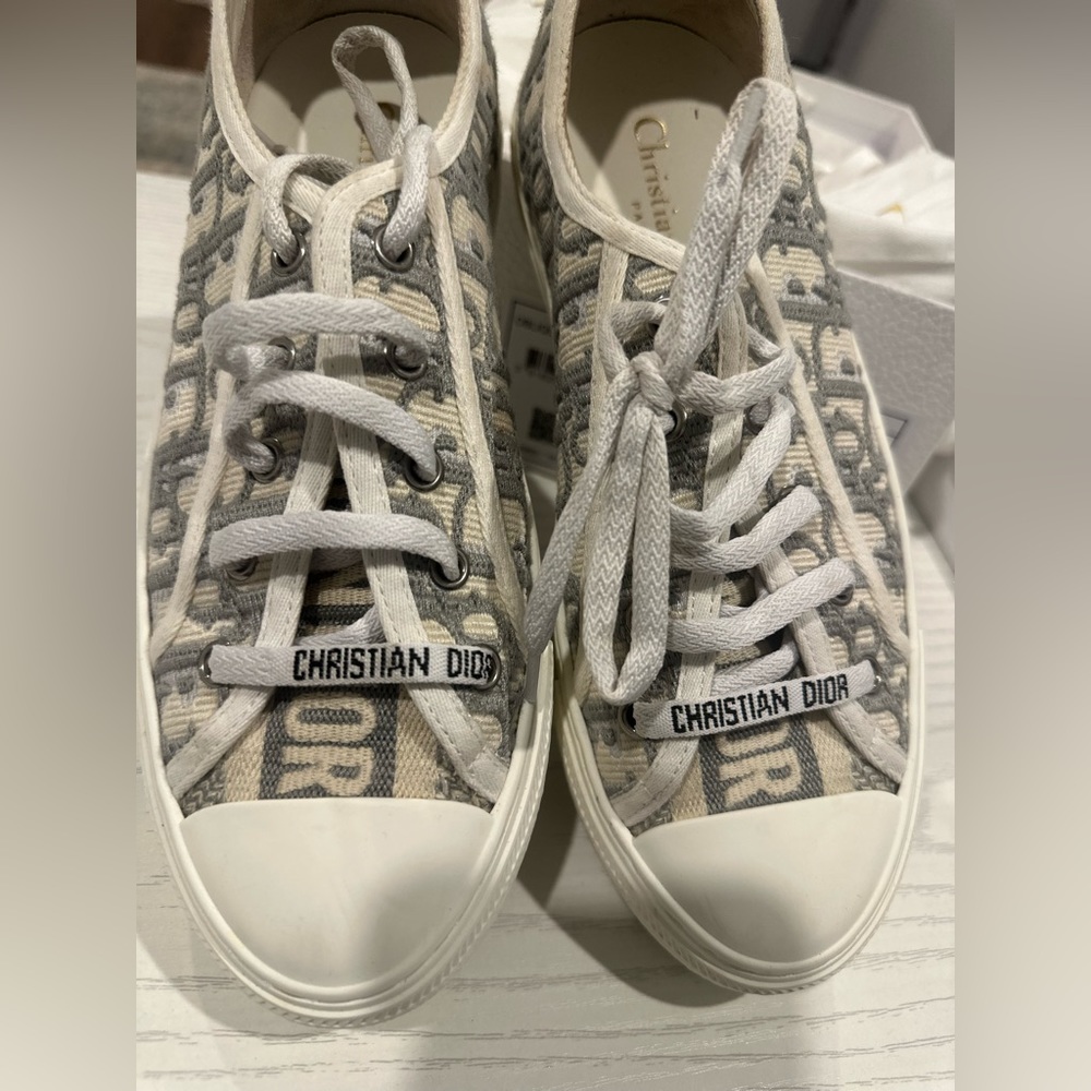 Walk N Dior Sneakers - Grey Stone